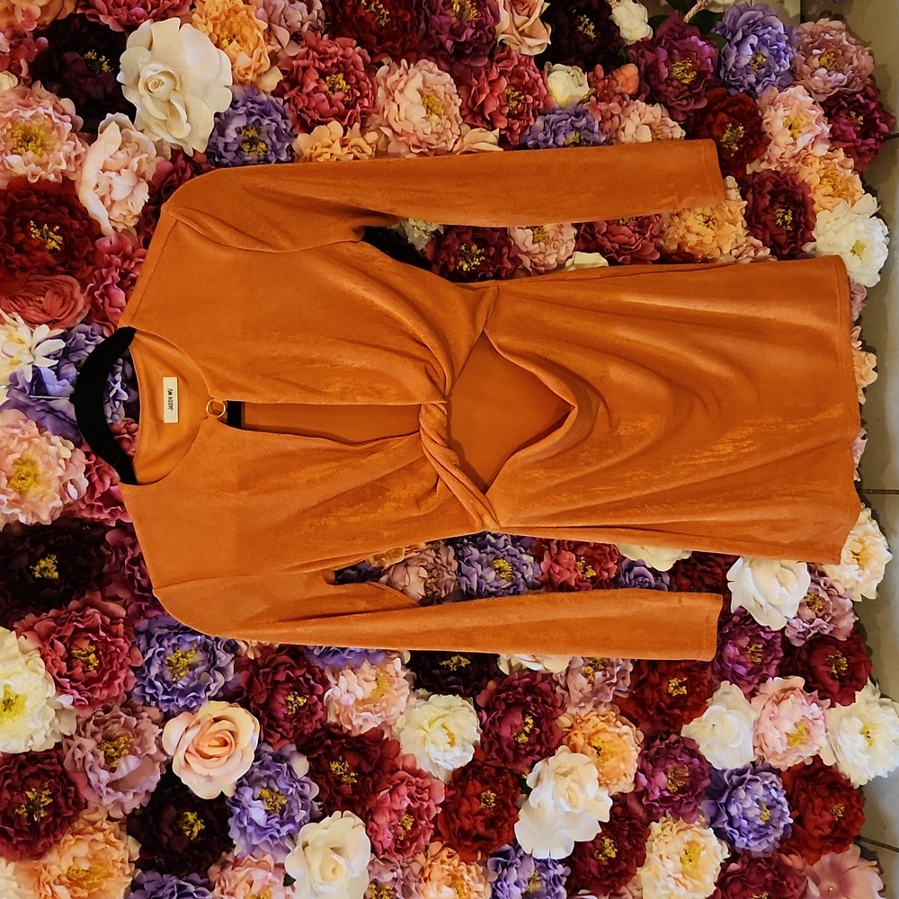 Jason Wu Dress